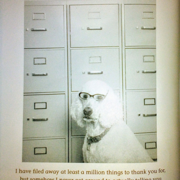 3 Pack Book Set: The Blue Day Book, The Meaning of Life, Thank You For Being You - Picture 11 of 16